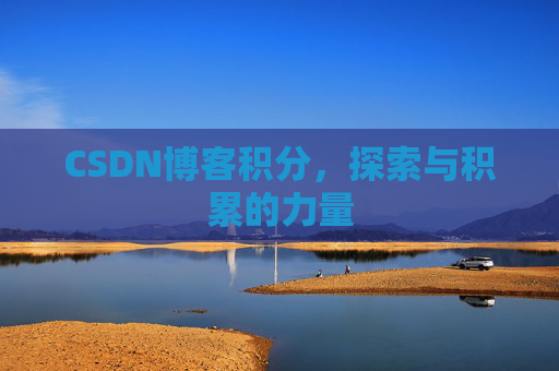 CSDN博客积分，探索与积累的力量